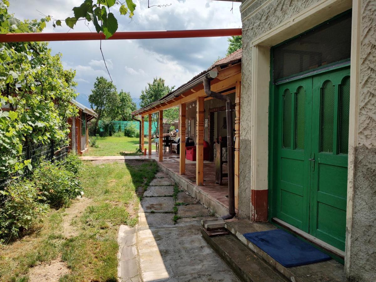 La Tataia Zahei Hotel Dragus Buitenkant foto