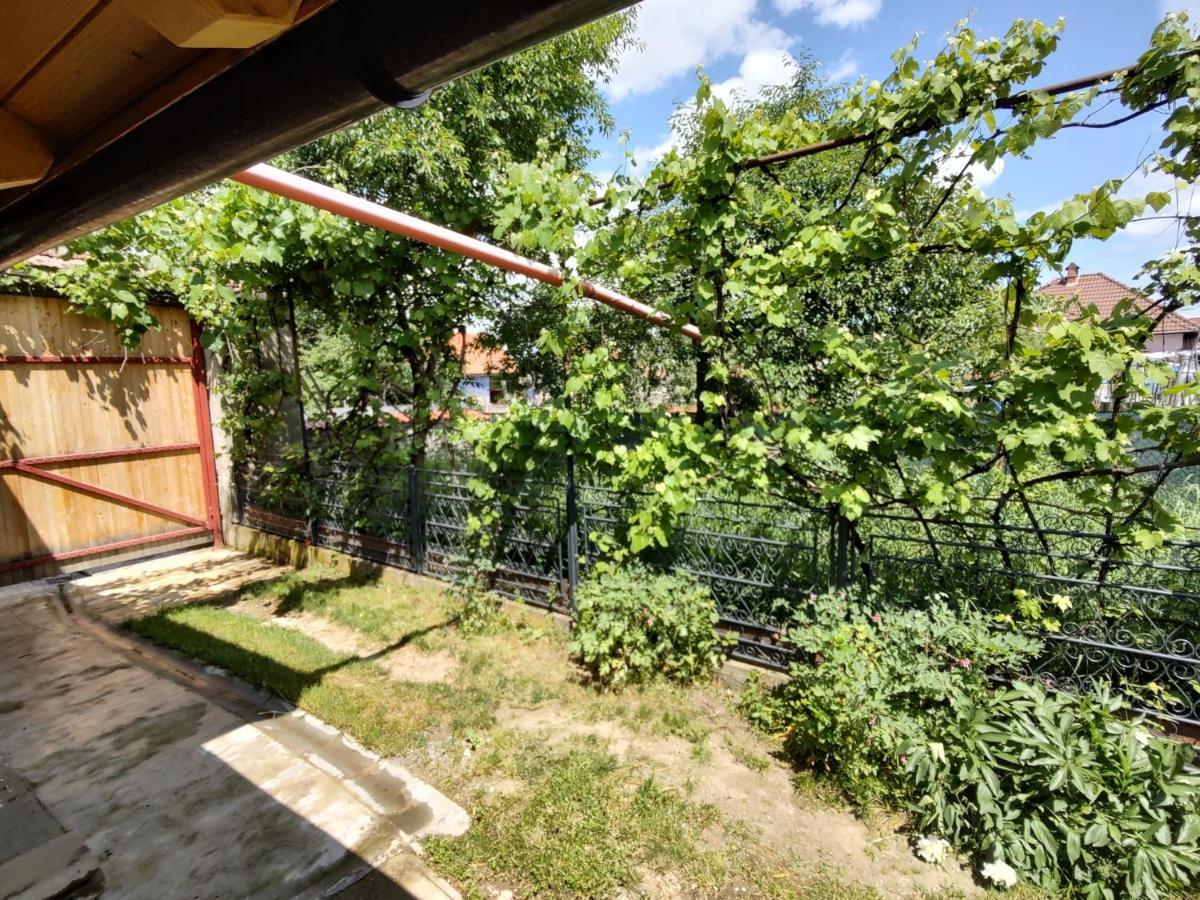 La Tataia Zahei Hotel Dragus Buitenkant foto